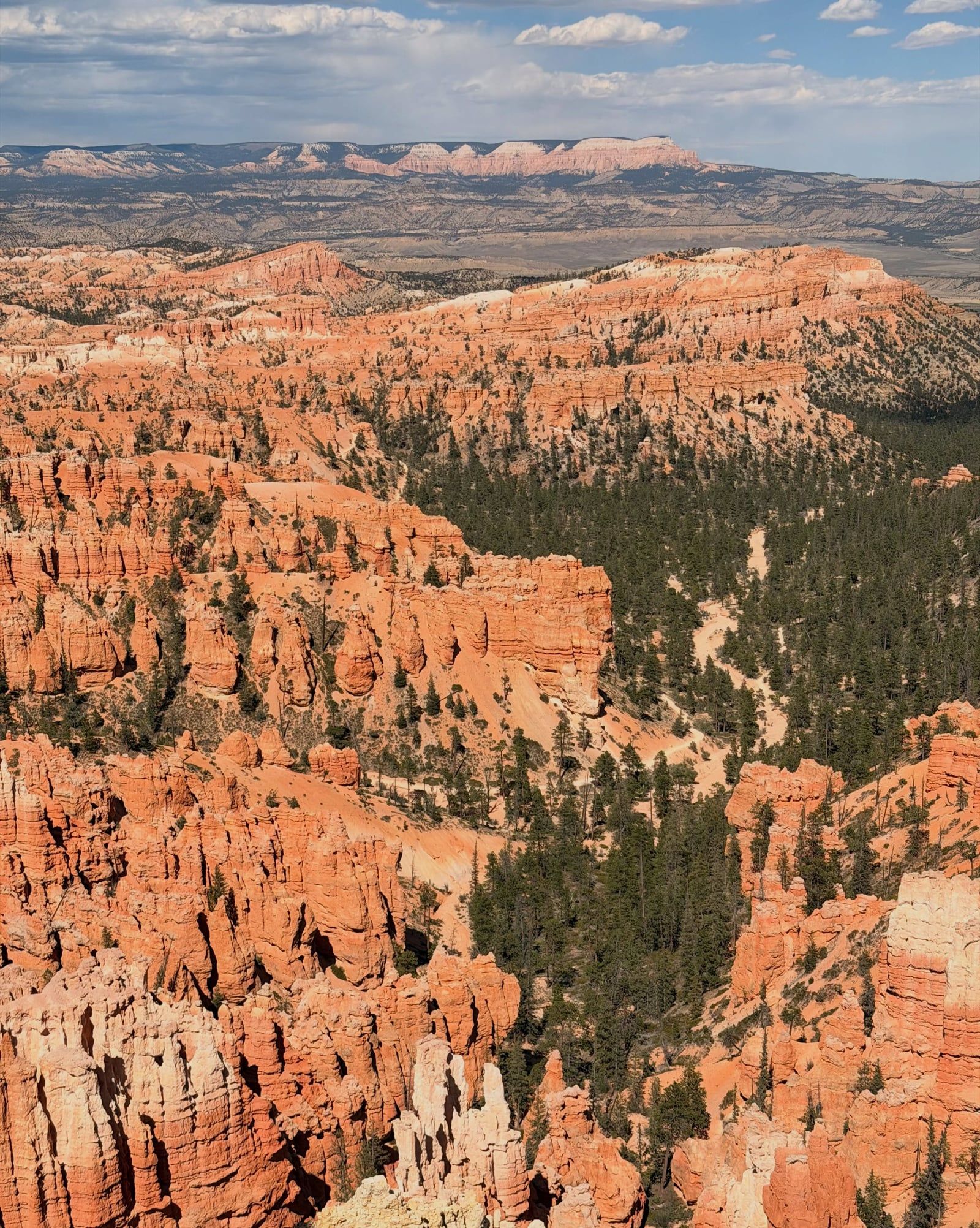 Ansicht von Canyonlands-Nationalpark