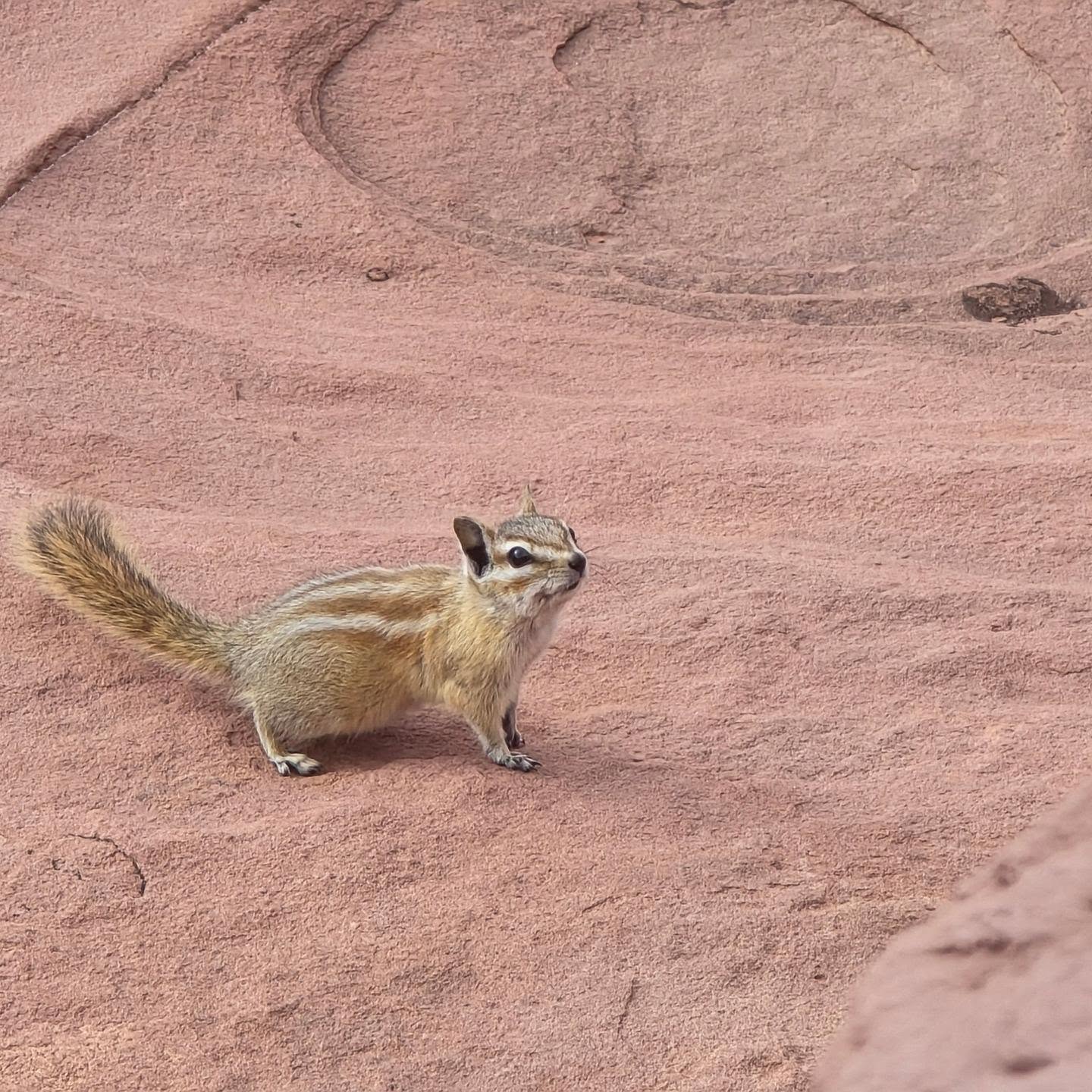 Besucherfoto einer Canyonlands-Nationalpark Tour